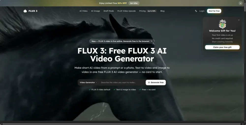 FLUX 3 Video