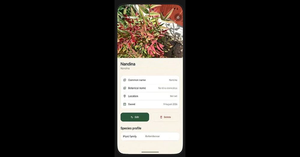 MyPlantLookup