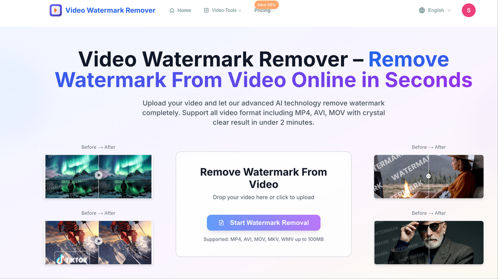 Video Watermark Remover