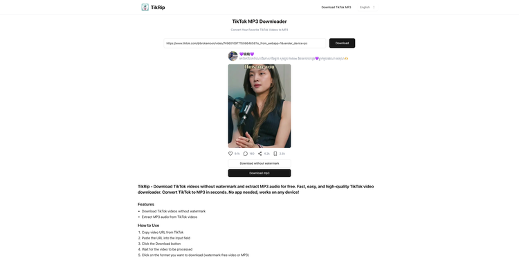 TikRip