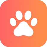 AI Pet Video Generator